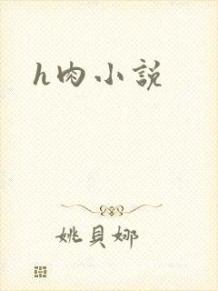 h肉小说