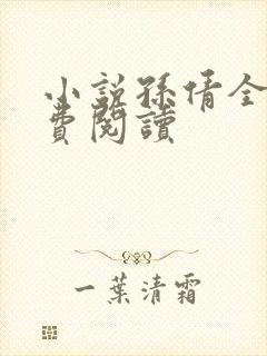 小说孙倩全文免费阅读