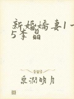 新婚娇妻1一25李晶封面
