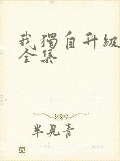 我独自升级漫画全集封面