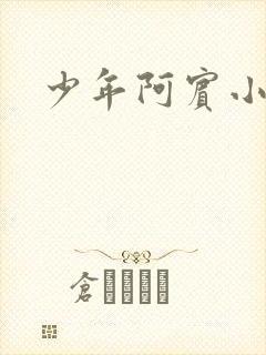 少年阿宾小说封面