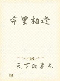 命里相逢封面
