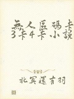 无人区码卡二卡3卡4卡小说