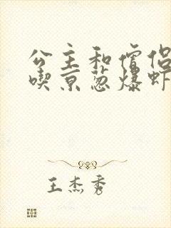 公主和僧侣 爱吃京葱爆虾的当归封面