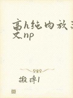 高h纯肉放荡h文np