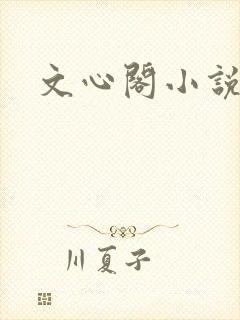 文心阁小说封面