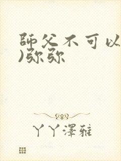师父不可以(限)弥弥封面