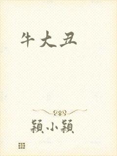 牛大丑封面