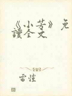 《小芳》免费阅读全文