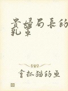 贵妇局长的蕾丝乳罩