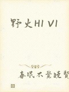 野火H1 V1