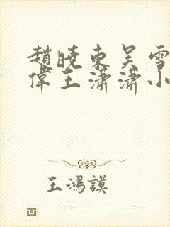 赵晓东吴雪晴郑伟王潇潇小说封面