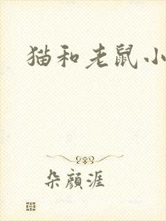 猫和老鼠小说