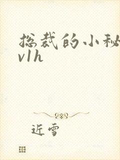 总裁的小秘书1v1h封面