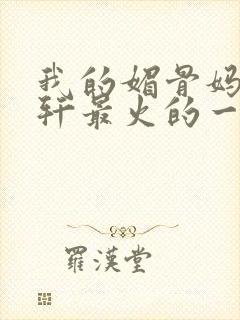 我的媚骨妈妈林轩最火的一句