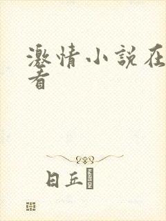 激情小说在线观看