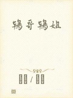 鸨哥鸨姐