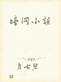 暗网小说封面