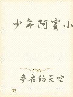 少年阿宾小说