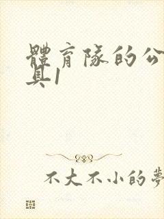 体育队的公用玩具1