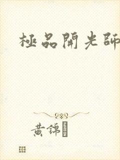 极品开光师