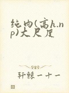 纯肉(高h.np)大尺度