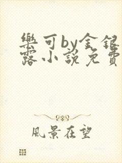 乐可by金银花露小说免费阅读