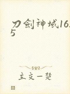 刀剑神域16.5