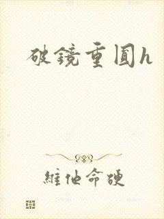 破镜重圆h