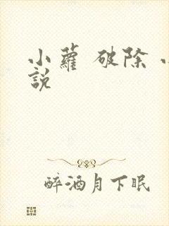 小萝 破除 小说