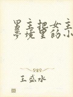 男主把女主拖进梦境里的小说