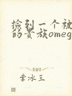 捡到一个被抹布的贵族omega