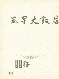 五星大饭店小说