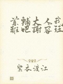 首辅大人我们和离吧谢容珏封面