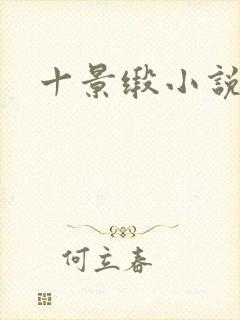 十景缎小说封面