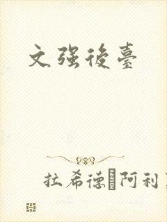文强后台