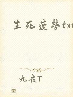 生死疲劳txt封面