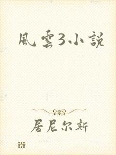 风云3小说