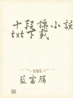 十段锦小说全本txt下载