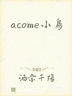 acome小鸟