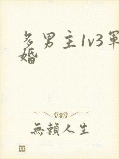 多男主1v3军婚封面