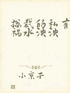 总裁的私有宝贝祸水泱泱