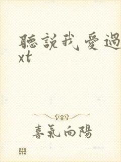 听说我爱过你txt封面