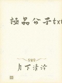 极品公子txt