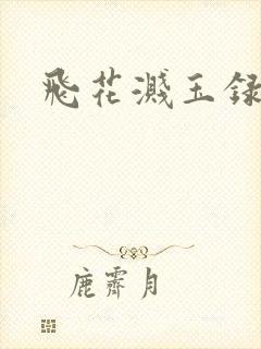 飞花溅玉录封面