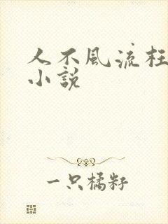 人不风流枉少年小说封面