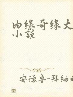 内缘奇缘大团圆小说