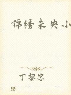 锦绣未央小说