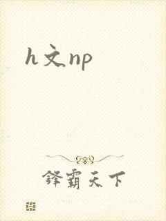 h文np封面
