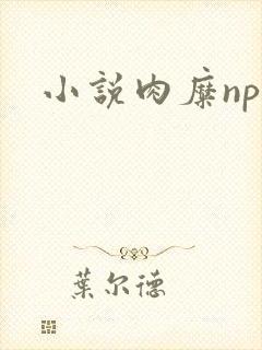 小说肉糜np